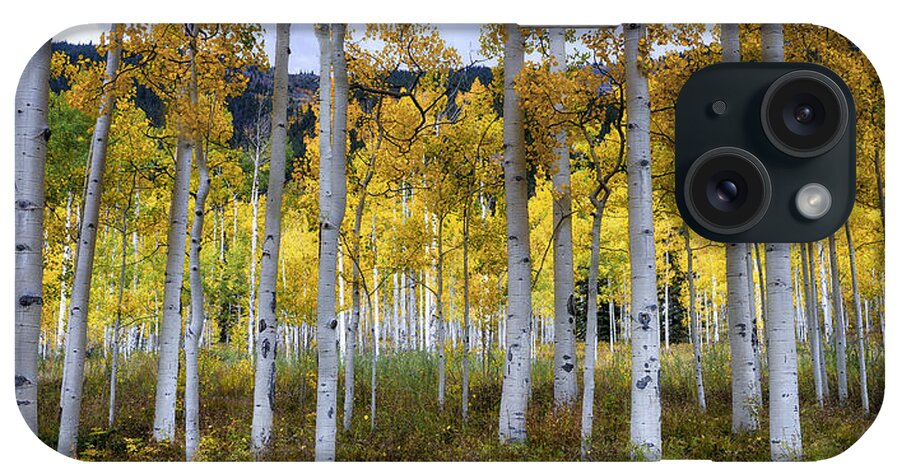 #colorado iPhone Case featuring the photograph Aspen Forest #1 by David Soldano