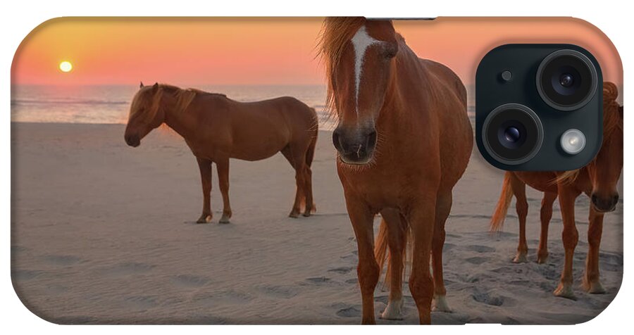 Horse iPhone Case featuring the photograph Assateague Island Wild Horses #1 by Image By Michael Rickard