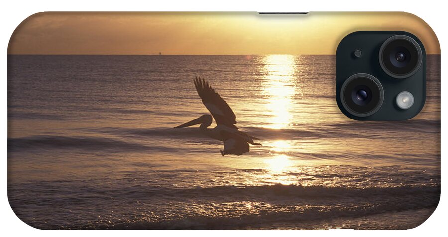 Along iPhone Case featuring the photograph Australian Pelican Glides At Sunrise #1 by Jurgen Freund