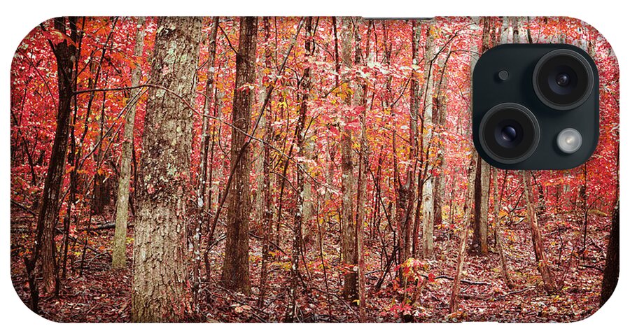 Autumn iPhone Case featuring the photograph Autumn Landscape #1 by Kim Fearheiley