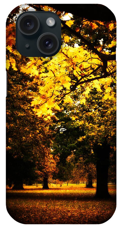 golden Light iPhone Case featuring the photograph Autumnal Walks #1 by Lenny Carter