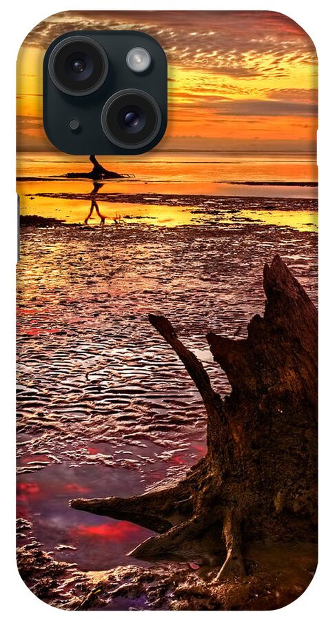 2013 iPhone Case featuring the photograph Beachmere #1 by Robert Charity