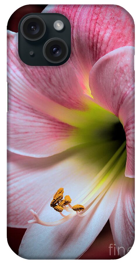 Art Prints iPhone Case featuring the photograph Beautiful Bloom #1 by Dave Bosse