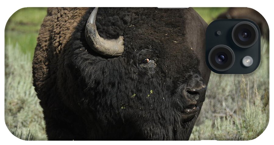 Bison iPhone Case featuring the photograph Bison #1 by Frank Madia