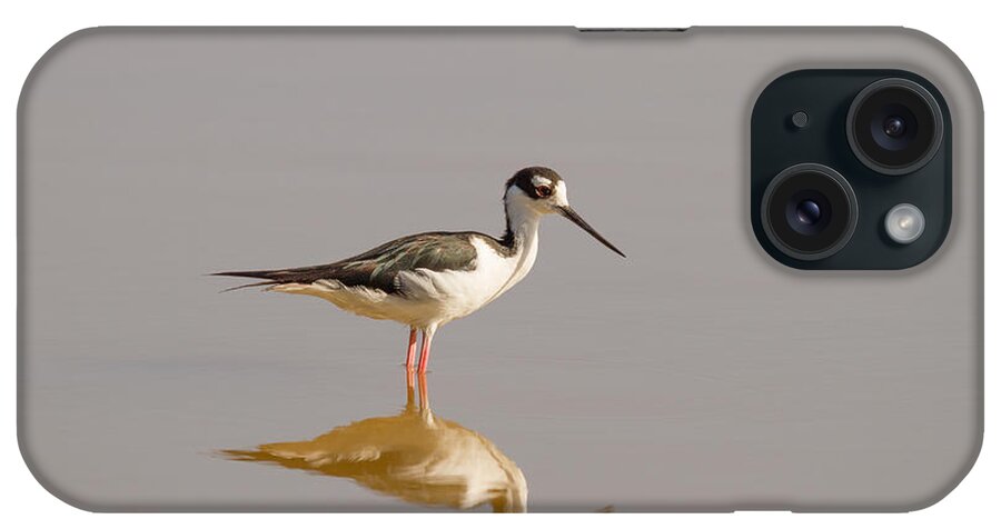 Bird iPhone Case featuring the photograph Black-necked Stilt by Doug McPherson