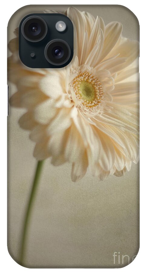 Gerbera Daisy iPhone Case featuring the photograph Blooming #1 by Aiolos Greek Collections