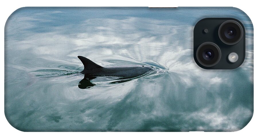 Feb0514 iPhone Case featuring the photograph Bottlenose Dolphin Surfacing Shark Bay #1 by Flip Nicklin