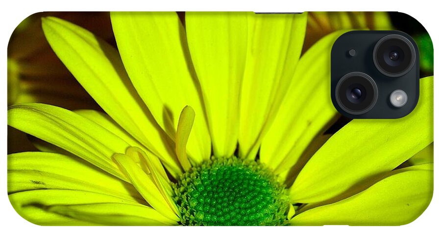 Flower iPhone Case featuring the photograph Bouquet-of-Flowers 4 #1 by Richard Zentner