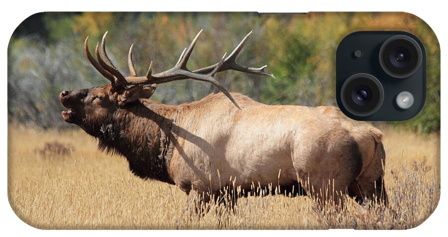 Bull Elk iPhone Case featuring the photograph Bugling Bull #1 by Shane Bechler