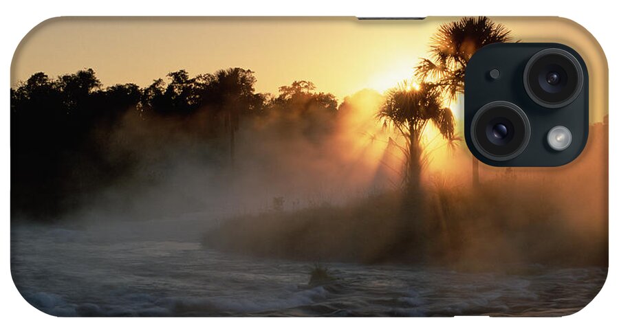 Feb0514 iPhone Case featuring the photograph Buriti Palm Gallery Forest #1 by Tui De Roy