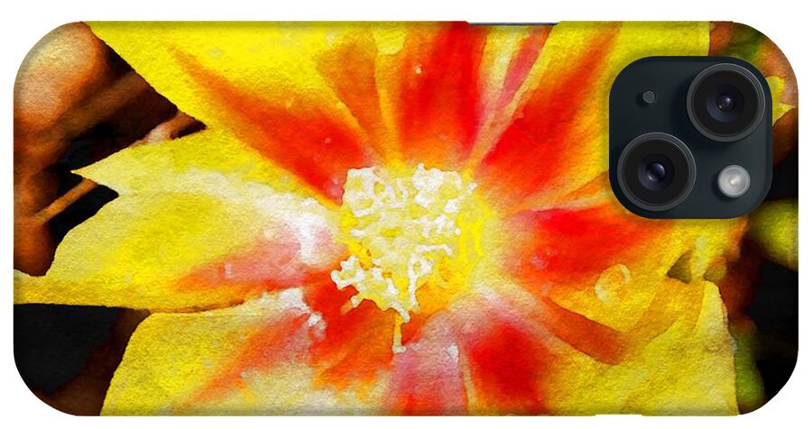 Flowers iPhone Case featuring the photograph Cactus Flower WC by Ken Williams