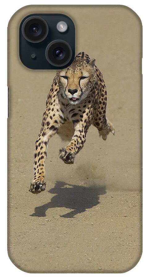 Feb0514 iPhone Case featuring the photograph Cheetah Running #1 by San Diego Zoo