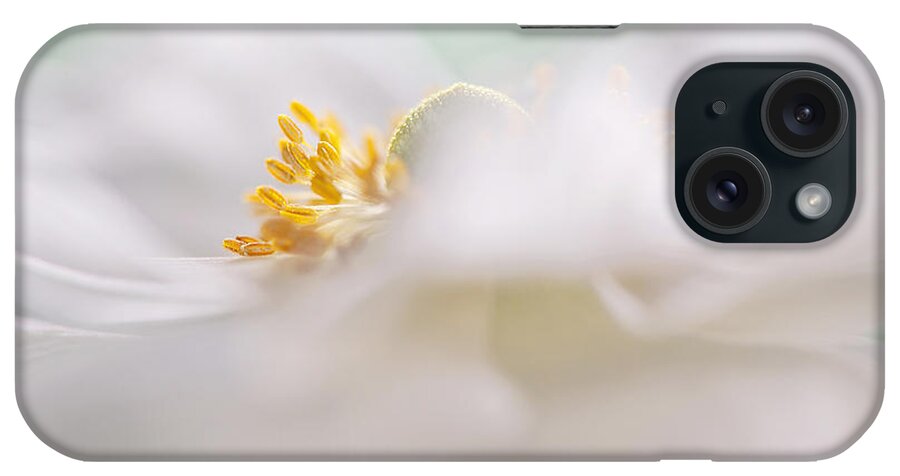 Japanese Anemone iPhone Case featuring the photograph Chiffon #1 by Jacky Parker