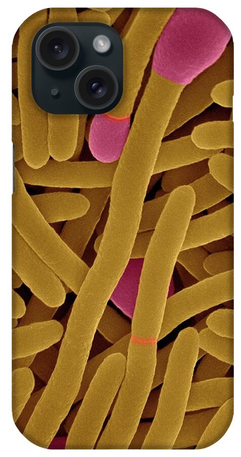29129d iPhone Case featuring the photograph Clostridium Phytofermentans #1 by Dennis Kunkel Microscopy/science Photo Library