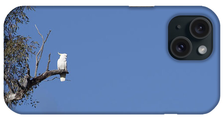 Australia iPhone Case featuring the photograph Cockatoo - Australia by Steven Ralser