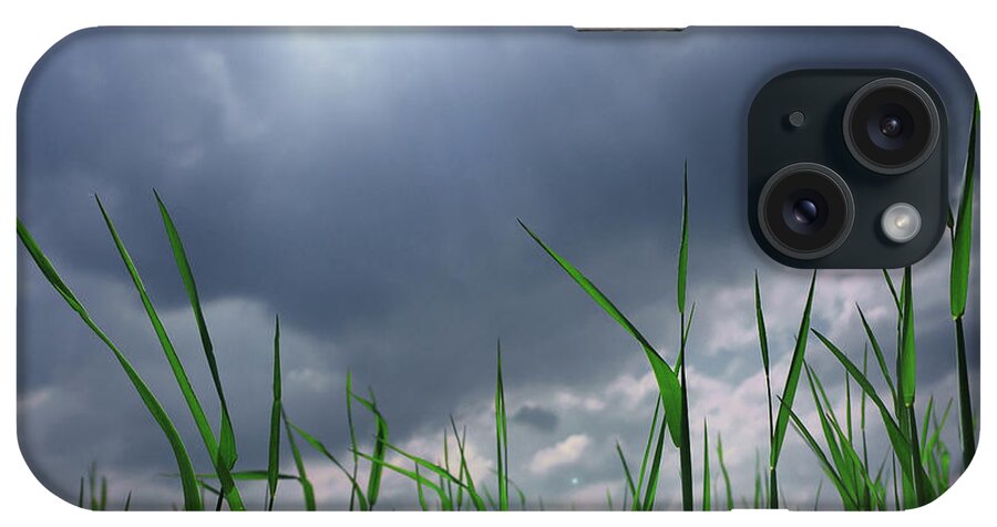 Thunderstorm iPhone Case featuring the photograph Corn Plant With Thunderstorm Clouds #1 by Silvia Otte