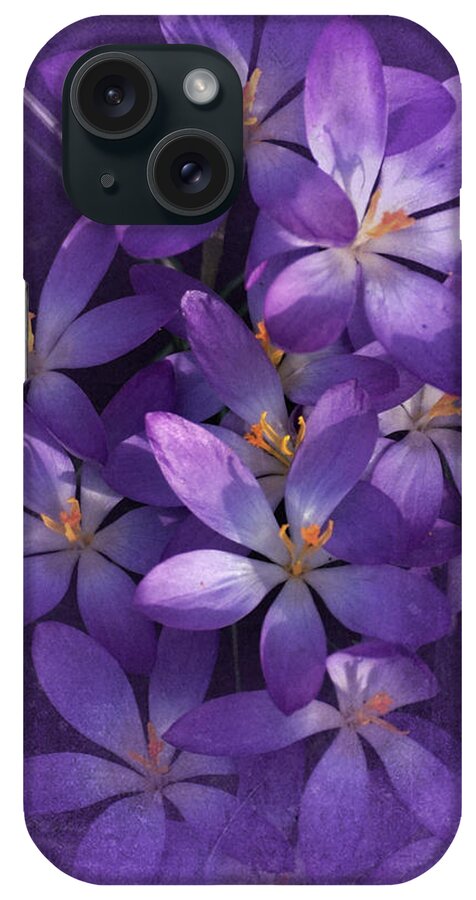 Vintage iPhone Case featuring the photograph Crocus Study No. 3 #1 by Richard Cummings