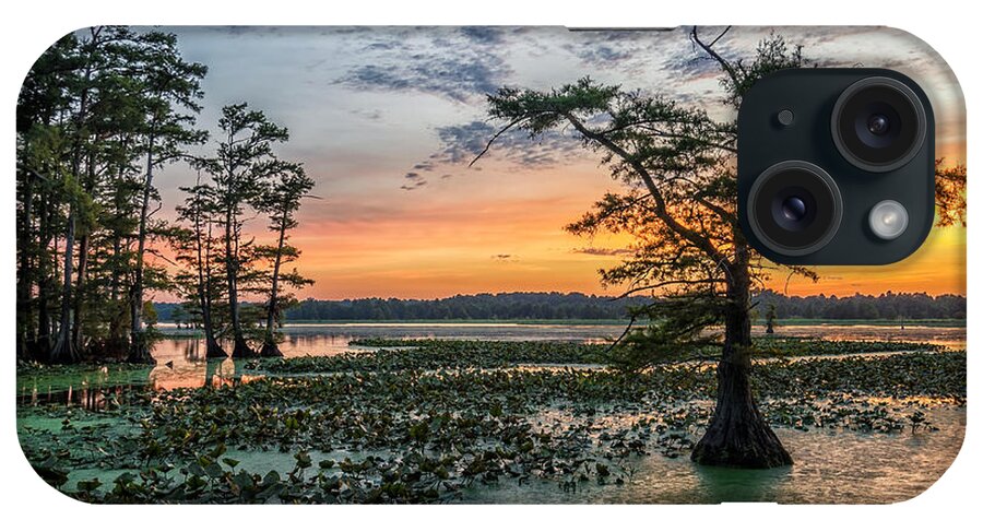 Bald Cypress iPhone Case featuring the photograph Cypress dreams #1 by Anthony Heflin