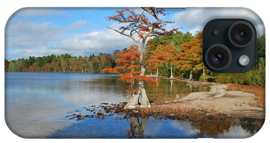 Blue iPhone Case featuring the photograph Cypress Reflection on Jones Lake #2 by Bob Sample