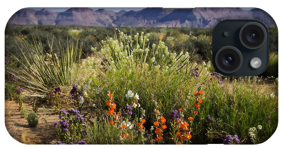 Wildflowers iPhone Case featuring the photograph Desert Wildflowers #1 by Saija Lehtonen