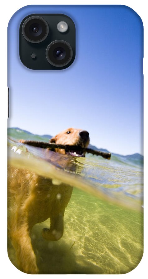 Cross Section iPhone Case featuring the photograph Dog With Stick In Lake, Idaho #1 by Gabe Rogel