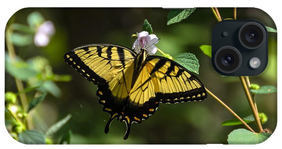 Butterfly iPhone Case featuring the photograph Eastern Tiger Swallowtail by Carol Bradley