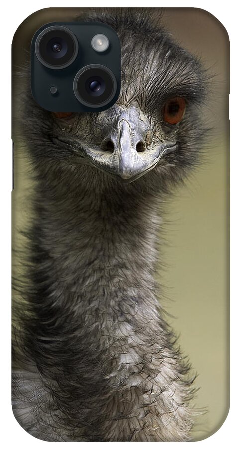 Feb0514 iPhone Case featuring the photograph Emu Portrait #1 by San Diego Zoo