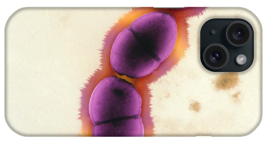 Science iPhone Case featuring the photograph Enterococcus Faecalis, Tem #1 by Kwangshin Kim