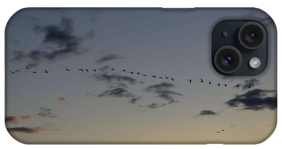 Photograph iPhone Case featuring the photograph Evening Flight #2 by Rhonda McDougall