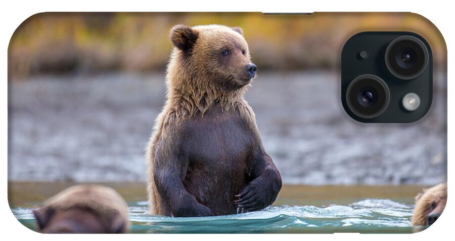 Bear iPhone Case featuring the photograph Eye On The Prize #1 by Kevin Dietrich