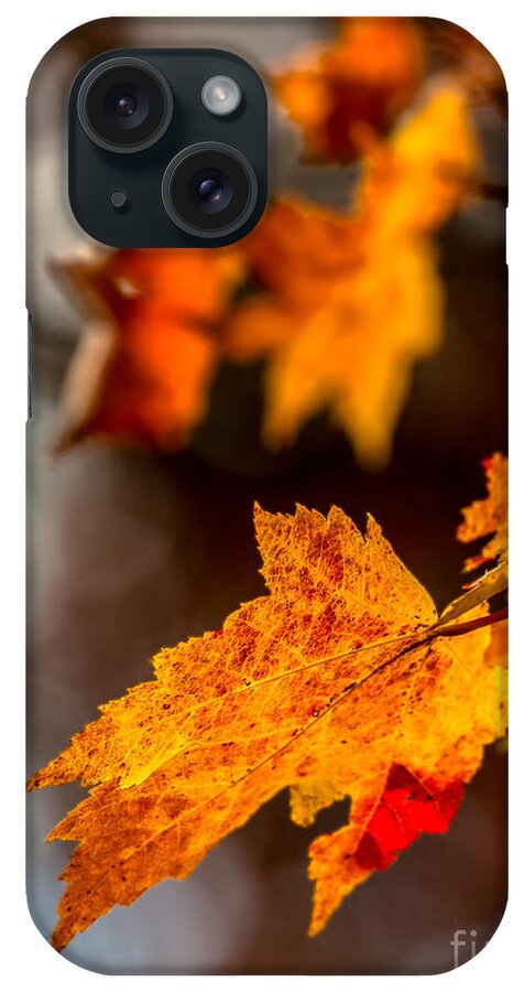 Fort-mountain iPhone Case featuring the photograph Fall colors by Bernd Laeschke