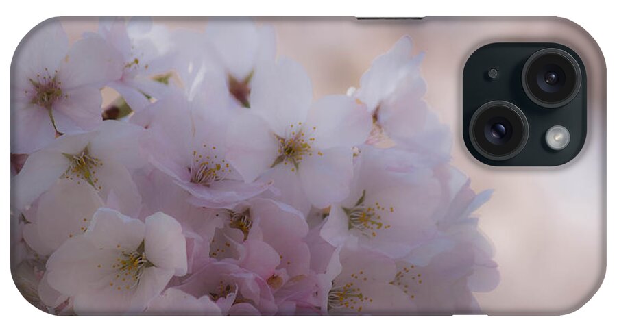 Cherry iPhone Case featuring the photograph First light #1 by Patricia Babbitt
