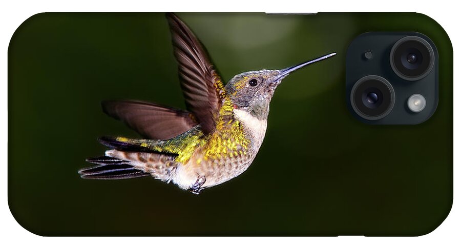 Dodsworth iPhone Case featuring the photograph Flight of a Hummingbird #1 by Bill Dodsworth