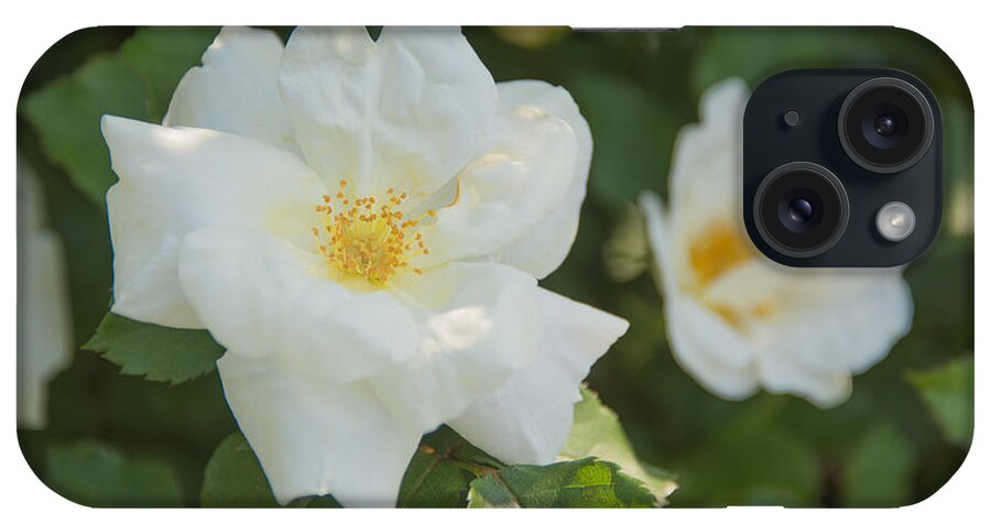  iPhone Case featuring the photograph Floral Beauty #1 by Theodore Jones