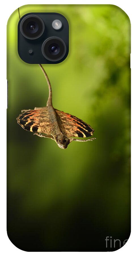 Animal iPhone Case featuring the photograph Flying Dragon In Flight #1 by Scott Linstead