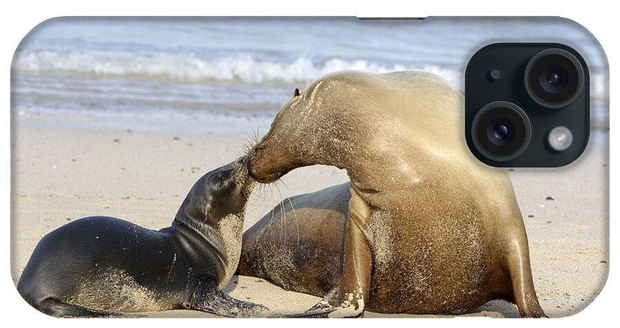 Galapagos Sea Lion iPhone Case featuring the photograph Galapagos Sealions #1 by M. Watson