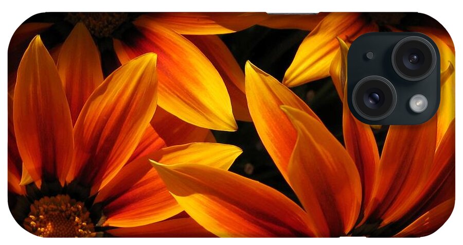 Mccombie iPhone Case featuring the photograph Gazania named Kiss Orange Flame #1 by J McCombie
