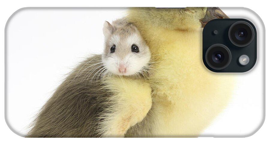 Roborovski Hamster iPhone Case featuring the photograph Gosling And Roborovski Hamster #1 by Mark Taylor