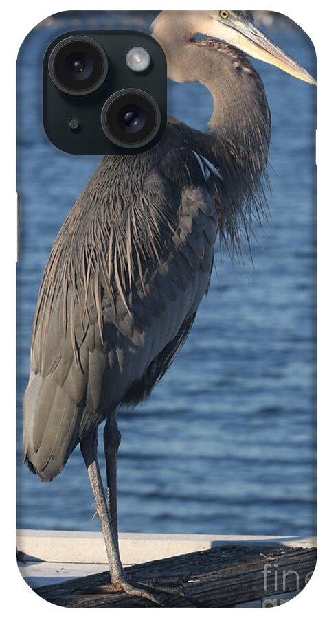 Heron iPhone Case featuring the photograph Great Blue Heron by Christiane Schulze Art And Photography