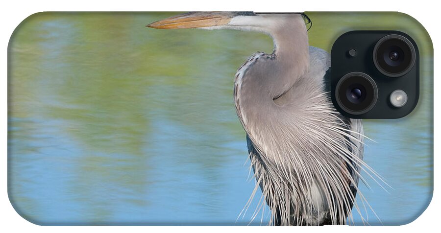 Great Blue Heron iPhone Case featuring the photograph Great Blue Heron #3 by Tam Ryan