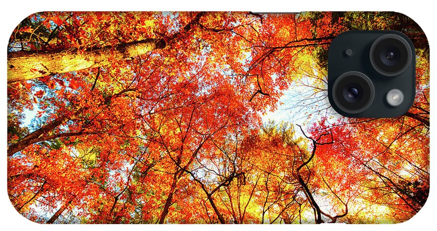 Treetop iPhone Case featuring the photograph Great Smoky Mountains In Autumn #1 by Moreiso
