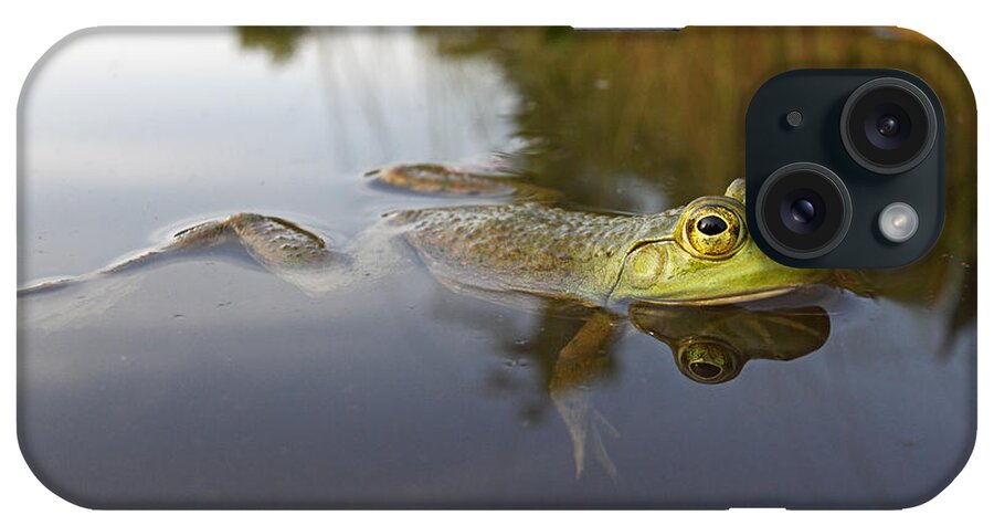 Feb0514 iPhone Case featuring the photograph Green Frog Nova Scotia Canada #1 by Scott Leslie