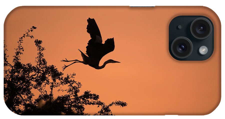 Ardea Cinerea iPhone Case featuring the photograph Grey Heron #1 by Simon Booth/science Photo Library