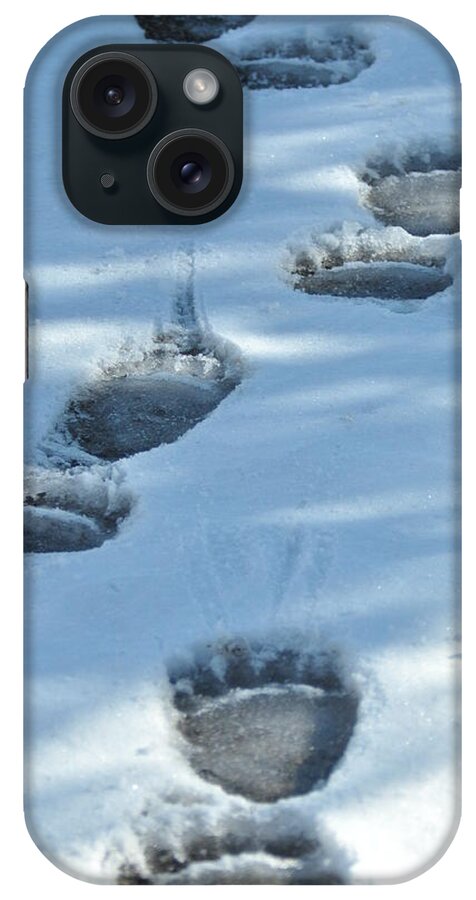Blue iPhone Case featuring the photograph Grizzly Bear Tracks by Frank Madia
