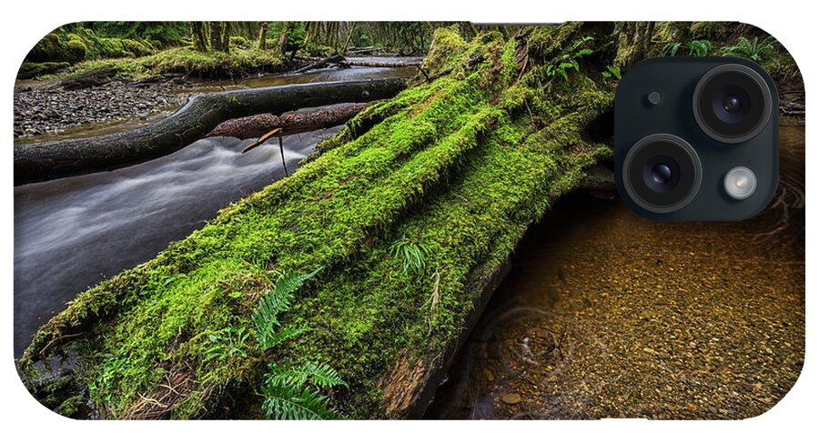 Outdoors iPhone Case featuring the photograph Haans Creek Flows Through The Green #1 by Robert Postma