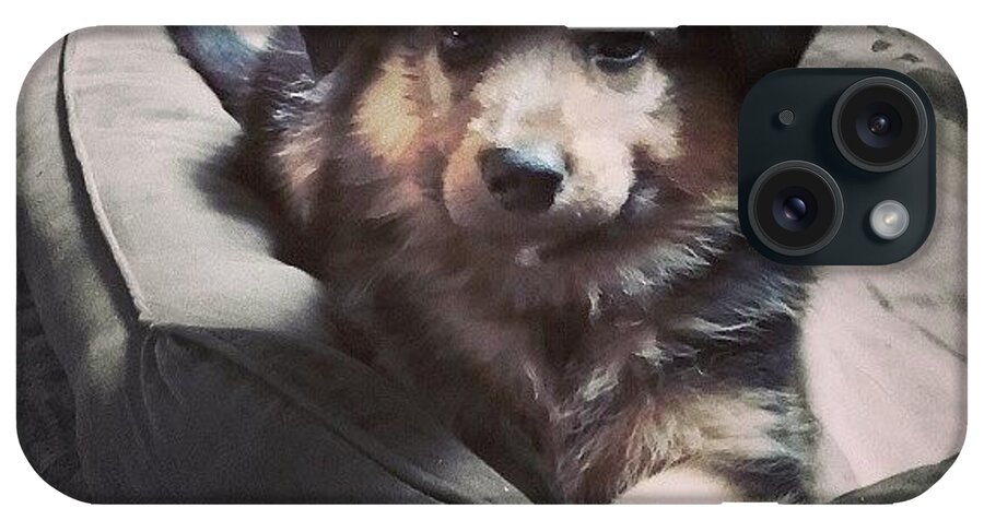 Instadog iPhone Case featuring the photograph Hannah #instadog #ilovemydog #puppy #1 by Abbie Shores