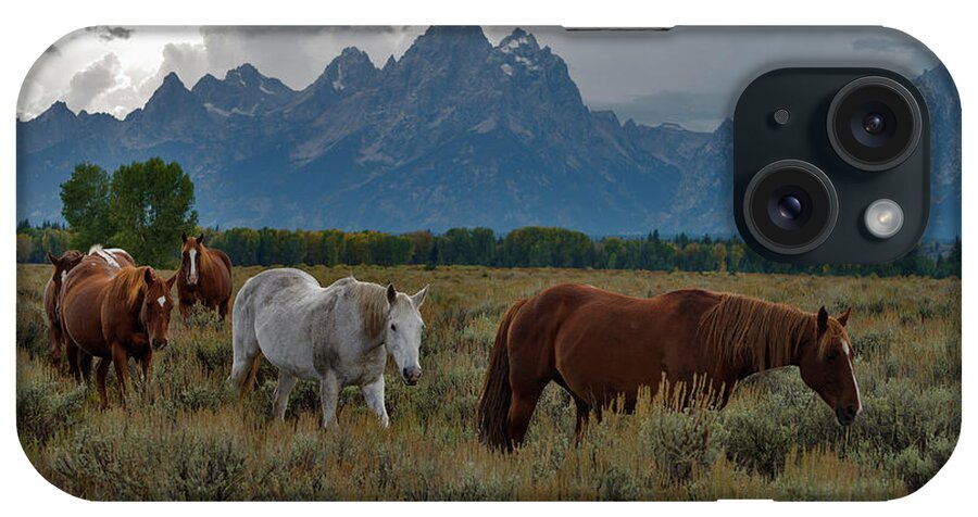 Horse iPhone Case featuring the photograph Horses In Grand Teton National Park #1 by Mark Newman