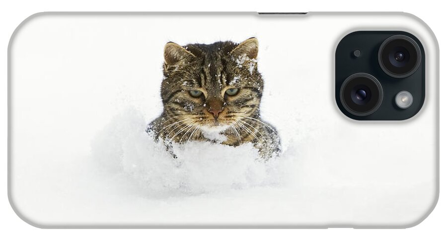 Feb0514 iPhone Case featuring the photograph House Cat In Deep Snow Germany #2 by Konrad Wothe