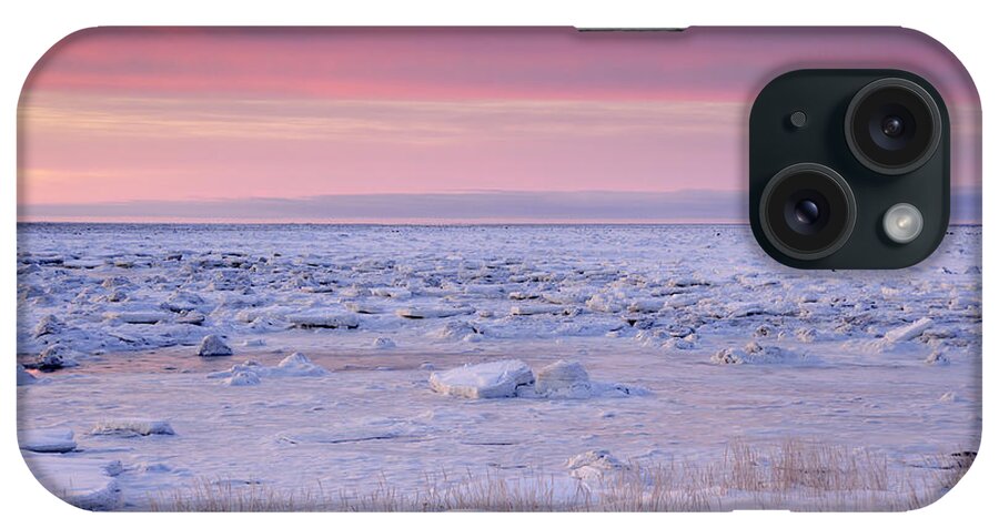 Animals Wildlife iPhone Case featuring the photograph Hudson Bay Landscape #1 by Don Johnston
