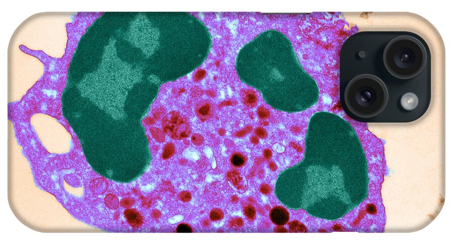 Transmission Electron Micrograph iPhone Case featuring the photograph Human Neutrophil, Tem #1 by David M. Phillips